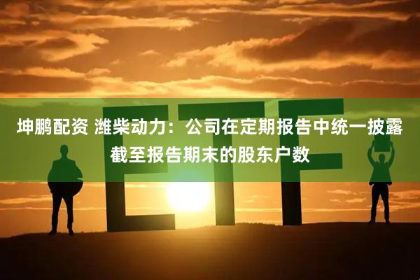 坤鹏配资 潍柴动力：公司在定期报告中统一披露截至报告期末的股东户数