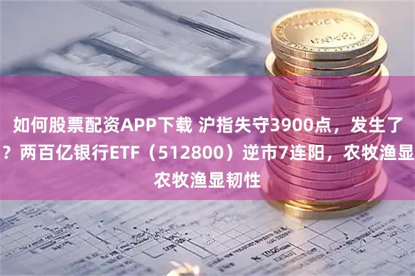 如何股票配资APP下载 沪指失守3900点，发生了什么？两百亿银行ETF（512800）逆市7连阳，农牧渔显韧性