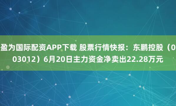 盈为国际配资APP下载 股票行情快报：东鹏控股（003012）6月20日主力资金净卖出22.28万元