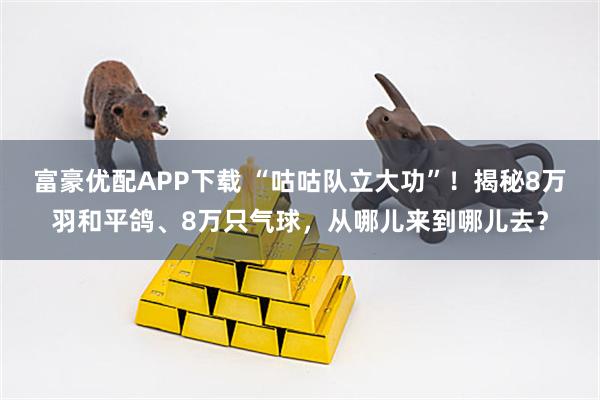 富豪优配APP下载 “咕咕队立大功”！揭秘8万羽和平鸽、8万只气球，从哪儿来到哪儿去？