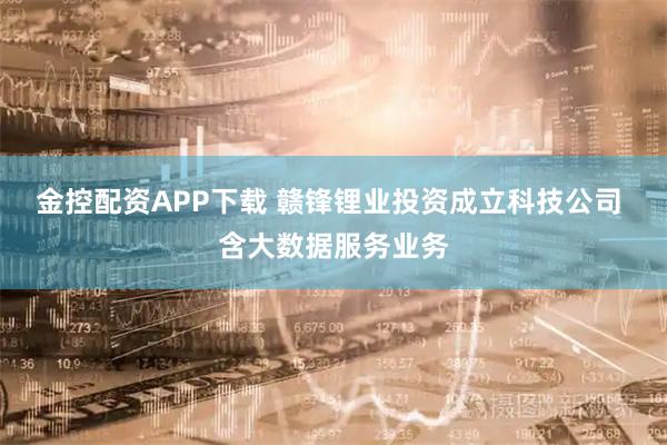 金控配资APP下载 赣锋锂业投资成立科技公司 含大数据服务业务