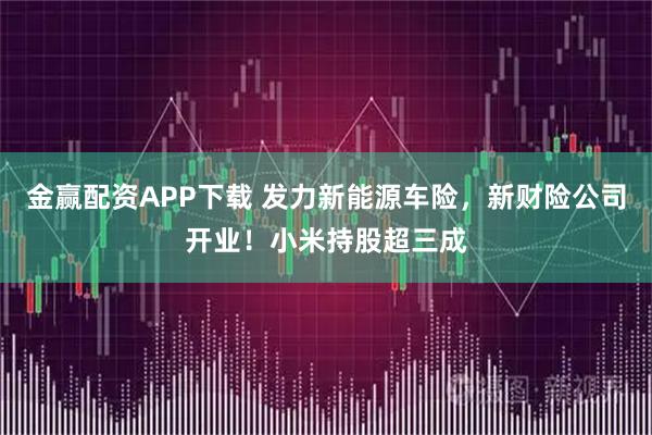 金赢配资APP下载 发力新能源车险，新财险公司开业！小米持股超三成