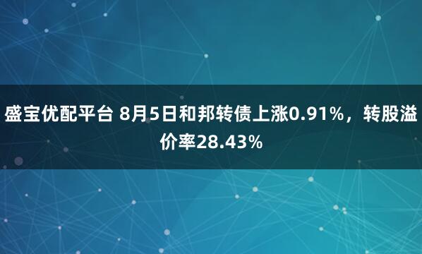 盛宝优配平台 8月5日和邦转债上涨0.91%，转股溢价率28.43%
