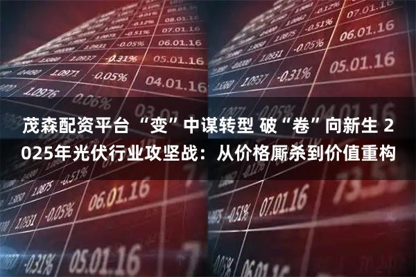 茂森配资平台 “变”中谋转型 破“卷”向新生 2025年光伏行业攻坚战：从价格厮杀到价值重构