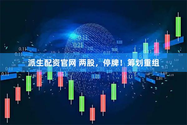 派生配资官网 两股，停牌！筹划重组